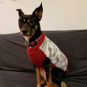 Meet your Posher, Maria